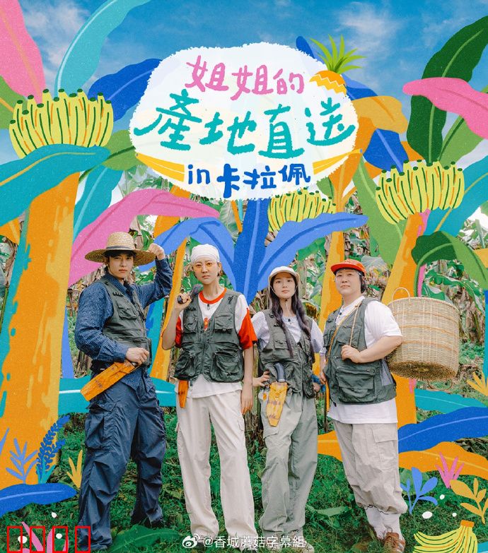 姐姐家的产地直送3：甜蜜陷阱