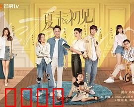 《夏末初见：青春里的最后一页》