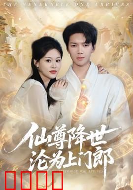 仙尊降世沦为上门郎：霸气护妻