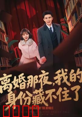 离婚那夜，我的身份藏不住了：惊天反转