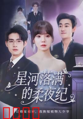 星河落满的柔夜纪：最后的星语者