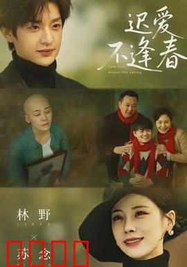 迟爱不逢春：错失的时光