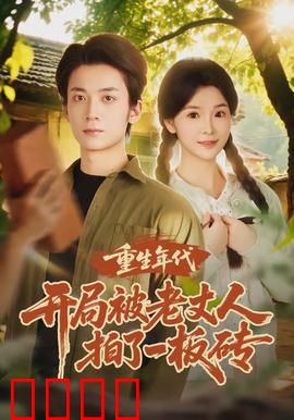 重生年代开局被老丈人拍了一板砖：绝地反击