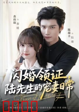 闪婚领证，陆先生的宠妻日常：霸总追妻甜到爆