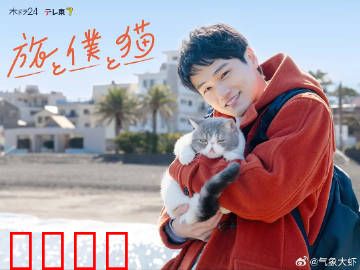 旅行和我和猫：猫咪治愈之旅