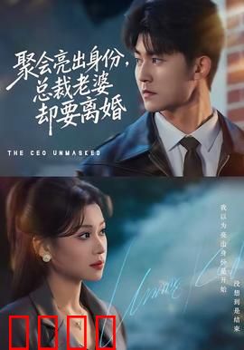 聚会亮出身份，总裁老婆却要离婚：身份曝光后的决裂