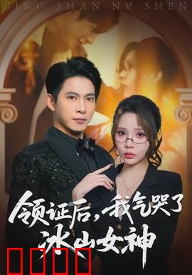 领证后，我气哭了冰山女神：甜蜜复仇记