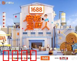老板是新人：菜鸟CEO逆袭记