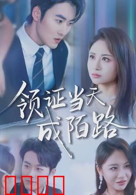 领证当天成陌路：意外身份