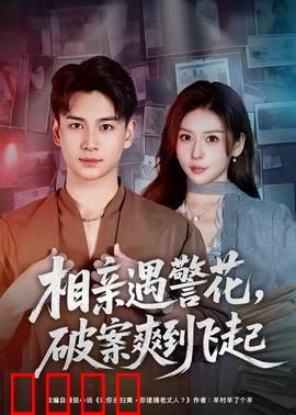 相亲遇警花，破案爽到飞起：笑料不断