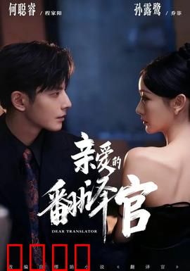 亲爱的翻译官：逐梦译界