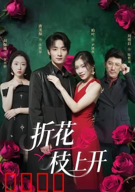 折花枝上开：一夜白头