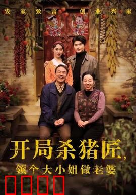 开局杀猪匠，领个大小姐做老婆：赘婿逆袭爽文