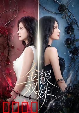 金银双姝：姐妹逆袭