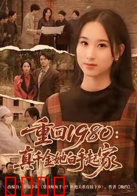 重回1980：时空逆袭