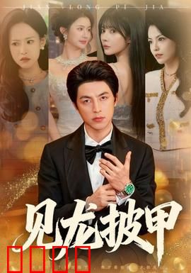 见龙披甲：一生戎马，忠心护主