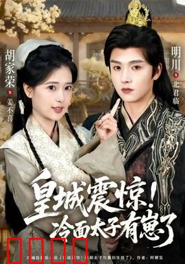 皇城震惊冷面太子有崽了：萌宝认亲记
