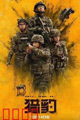猎豹：复仇之路