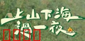 上山下海过一夜：极限求生记