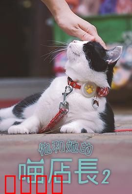 他和她的喵店长2：喵星人职场记