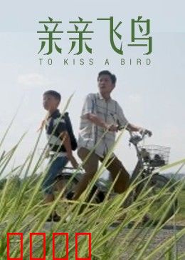 亲亲飞鸟：梦想翱翔