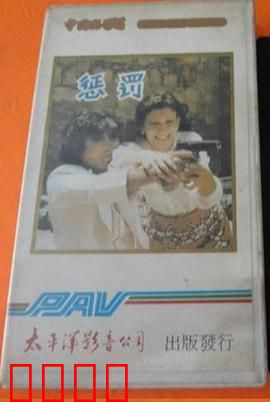 惩罚1980：复仇与救赎