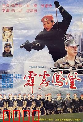 霹雳凤凰：女警复仇记