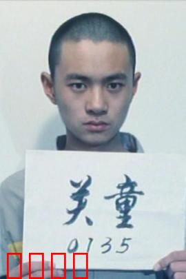 谁的孩子：迷雾寻踪