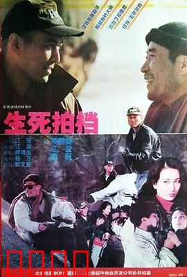 生死拍档：卧底兄弟情