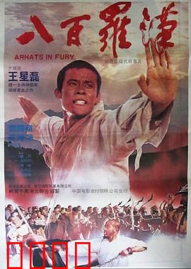 八百罗汉：乱世忠义
