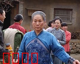 野茱萸：血色花季