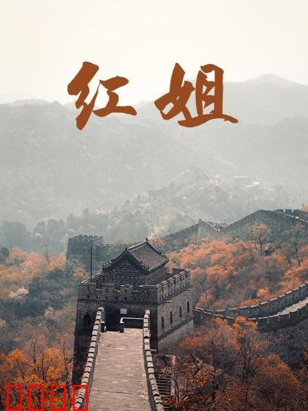 红姐2017：爆裂反击