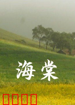 海棠：舞动人生