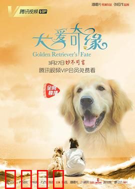 犬爱奇缘：因狗结缘