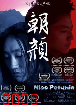 朝颜：记忆中的爱恋