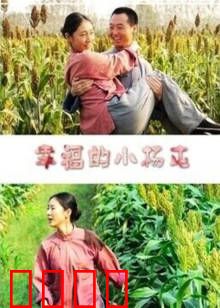 幸福的小杨屯：脱贫致富记