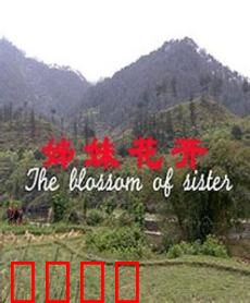 姊妹花开：姐妹情深绽芳华