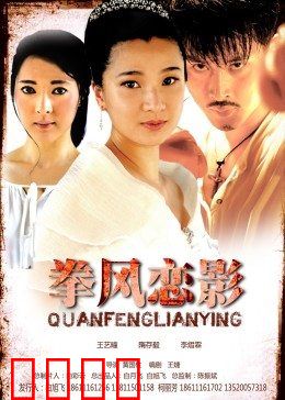 拳风恋影：拳舞情深