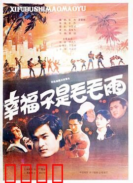 幸福不是毛毛雨：革命者的信念