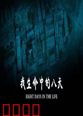我生命中的八天：绝望中的救赎