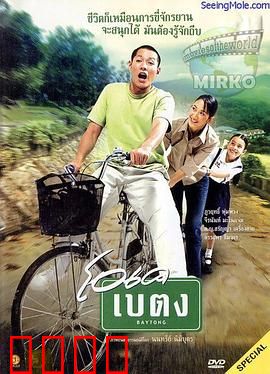 滚入红尘：迷失与回归