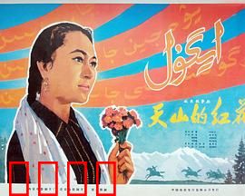 天山的红花：草原上的女性力量