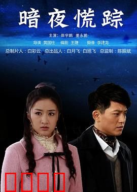 暗夜慌踪：迷雾中的真相