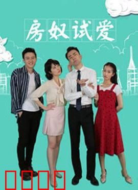 房奴试爱：假离婚的代价