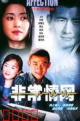非常情网：数字爱情密码