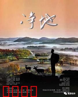 净地：迷雾中的真相