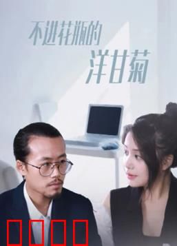 不进花瓶的洋甘菊：自由的代价