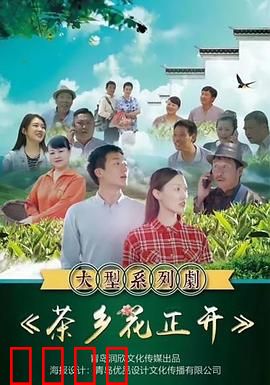 茶乡花正开：青春返乡创业