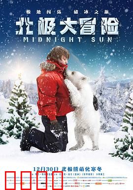 北极大冒险：冰雪归途