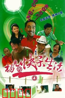 杨光的快乐生活4：婚事波折